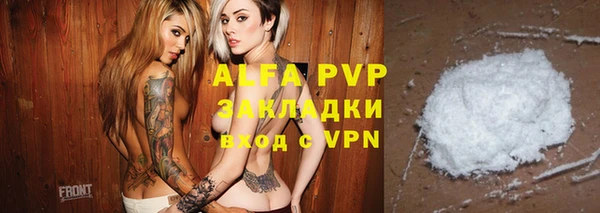 индика Балабаново