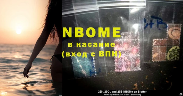 индика Балабаново