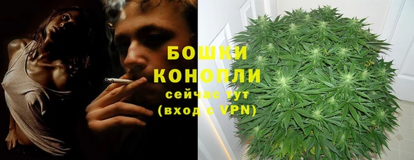 индика Балабаново