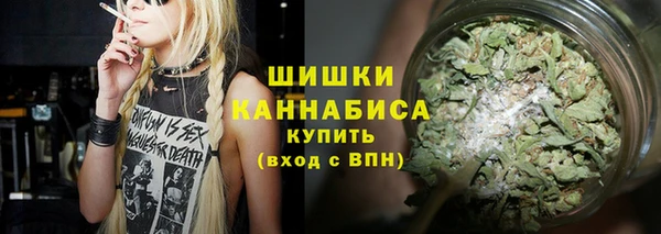 прущий лед Арсеньев